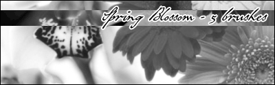 Aethereality.net / Spring Blossom Brushes