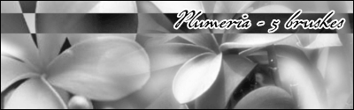 Aethereality.net / Plumeria Brushes