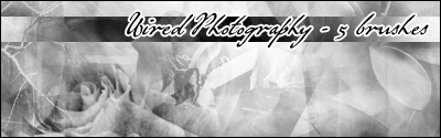 Aethereality.net / Wired Photography Brushes