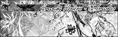 Aethereality.net / Grungy Flowers Brushes