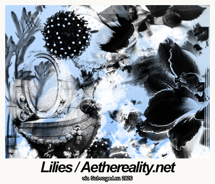 Aethereality.net / Lilies Brushes
