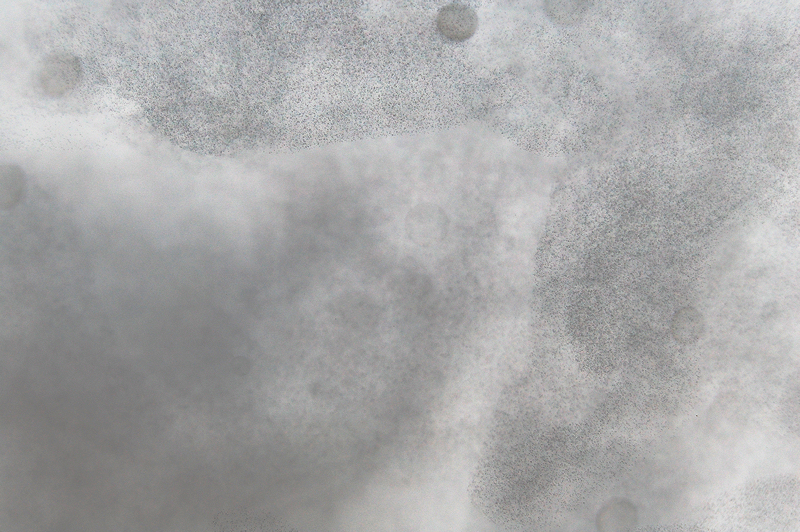 CitiesInDust.net Textures