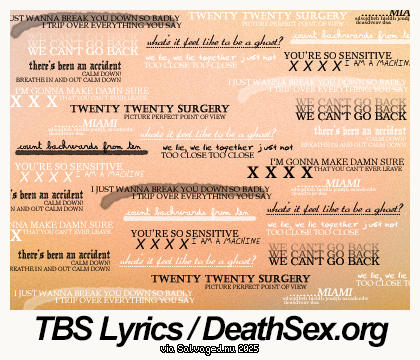 Taking Back Sunday 'TBS' Lyrics / DeathSex.org