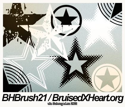 BHBrush21 / BruisedXHeart.org via Salvaged.nu