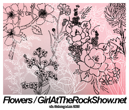 Flowers / GirlAtTheRockShow.net