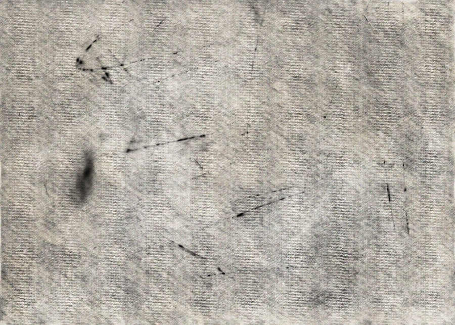 Texture by Hybrid-Genesis.net