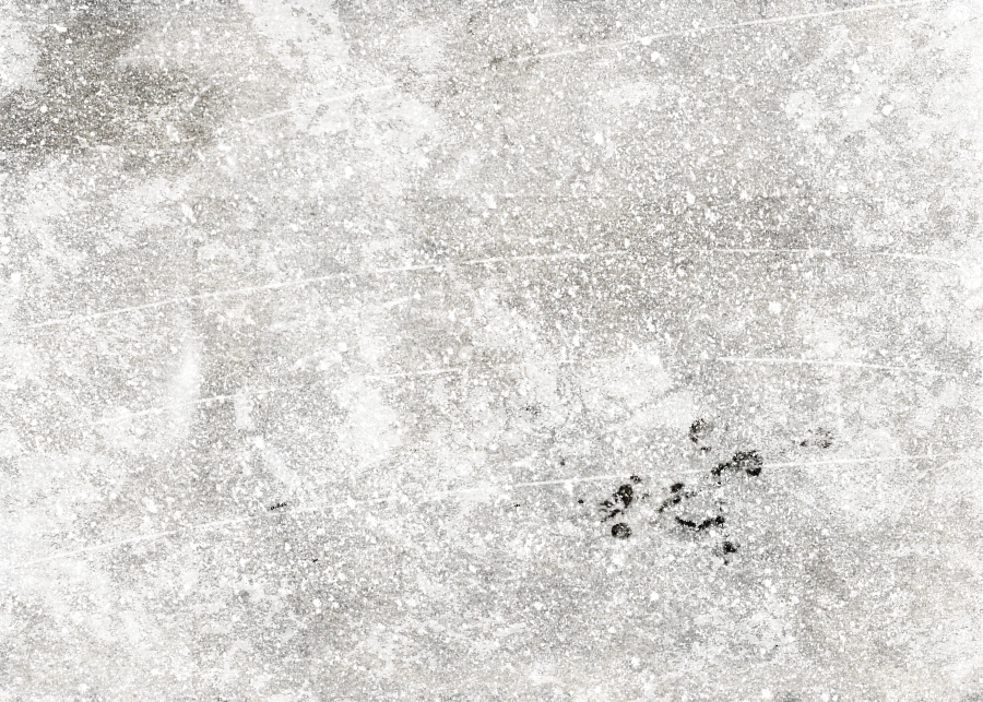 Texture by Hybrid-Genesis.net