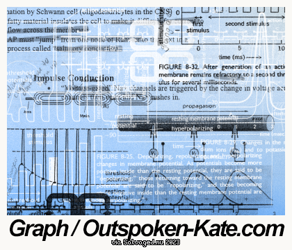 Graph / Outspoken-Kate.com
