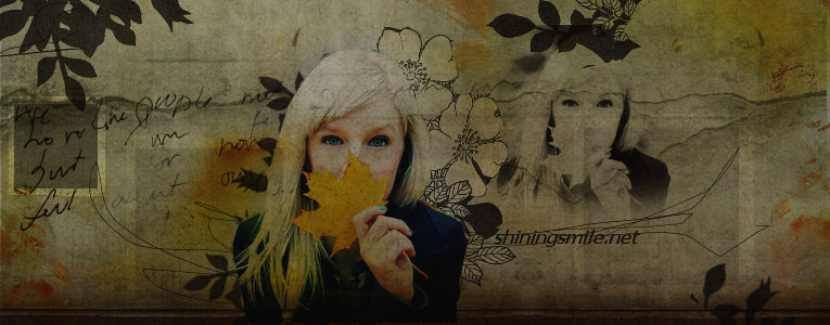 ShiningSmile.net / Layouts