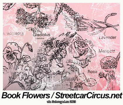 Book Flowers - StreetcarCircus.net