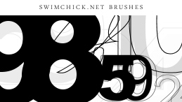 Bold and Normal Number (Brush 42) / SwimChick.net