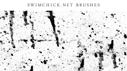 Dirt Speck (Brush 78) / SwimChick.net