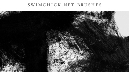 Eyeshadow Smudge 2 (Brush 9) / SwimChick.net