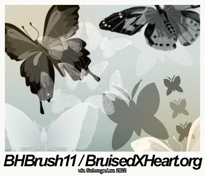 BHBrush11 / BruisedXHeart.org via Salvaged.nu